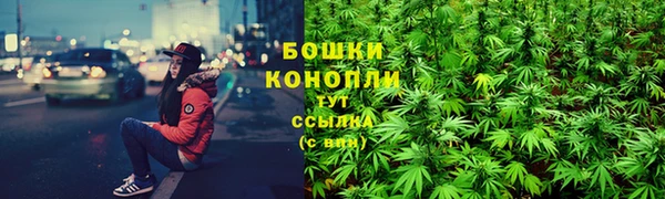 трава Магадан