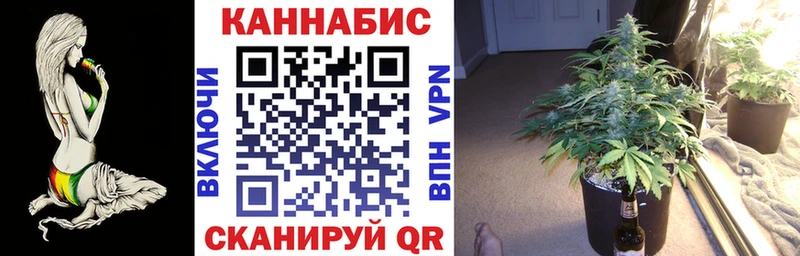 Канабис Ganja  наркотики  Суворов 